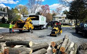 Best Aeration Services  in Morris, OK